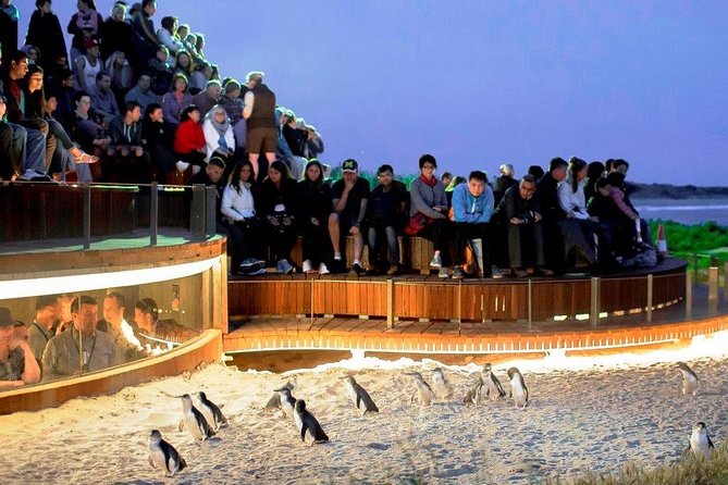 1 Day Exclusively Private Tour Of Phillip Island & The Penguin Parade - Key things to know before booking