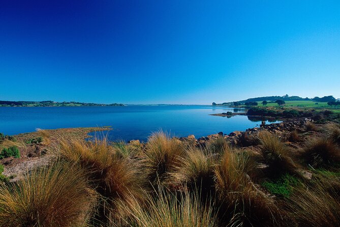 1 Day Exclusively Private Tour Of Phillip Island & The Penguin Parade - Coastal viewpoints at The Nobbies and Pyramid Rock