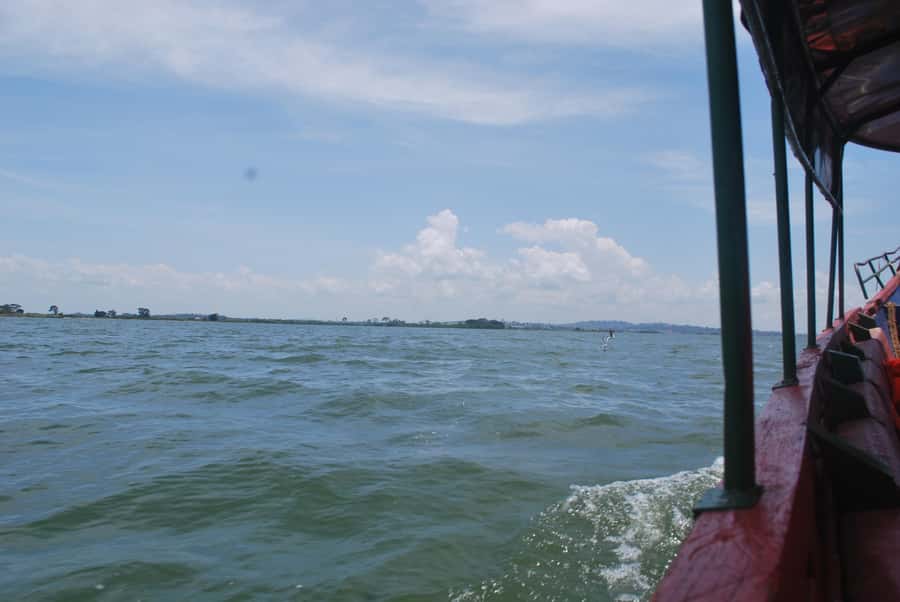1-Day Mabamba Shoebill Birding Tour in Lake Victoria Entebbe - Why Mabamba Swamp is worth your morning