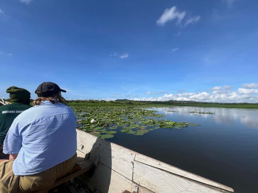 1-Day Mabamba Shoebill Birding Tour in Lake Victoria Entebbe - How the $165 price works in practice