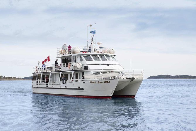 1000 Little Penguins Cruise - Key points to know before booking
