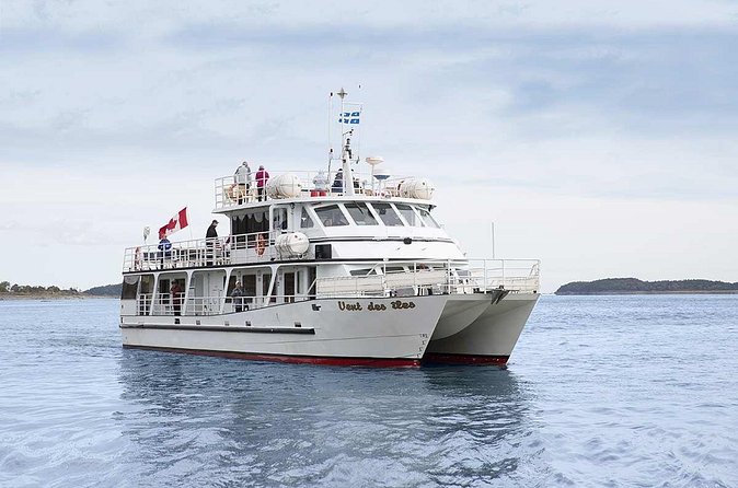 1000 Little Penguins Cruise - Is the $74.74 price good value?