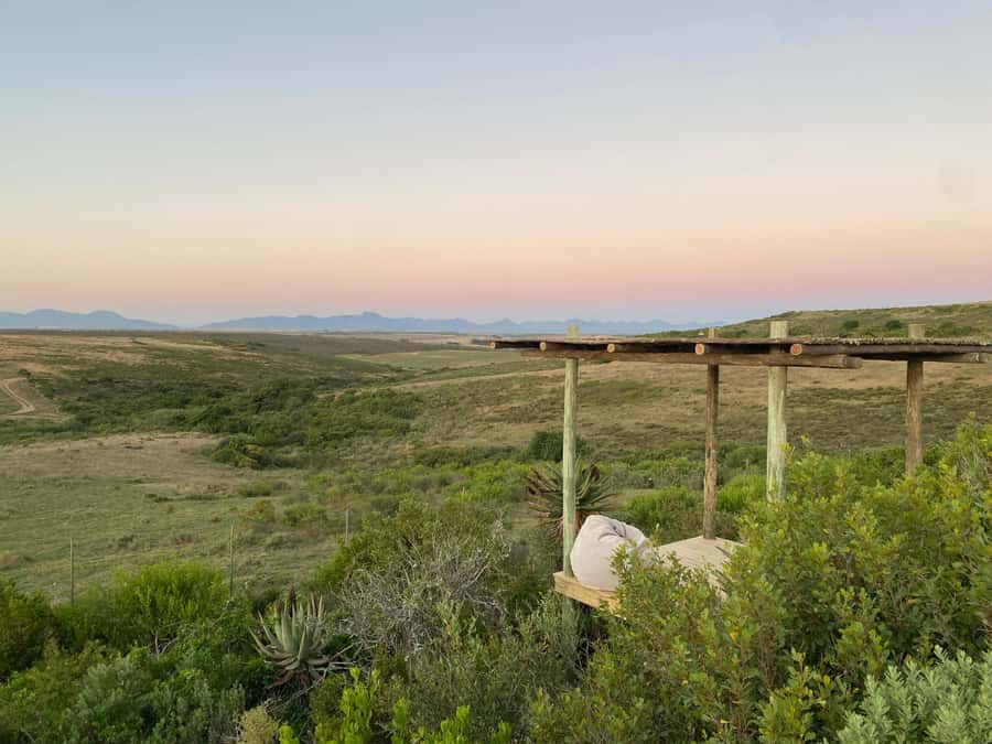2-Day Cape Town Safari with Big 5, Penguins & Cape Agulhas - Dinner and a four-star night under the stars