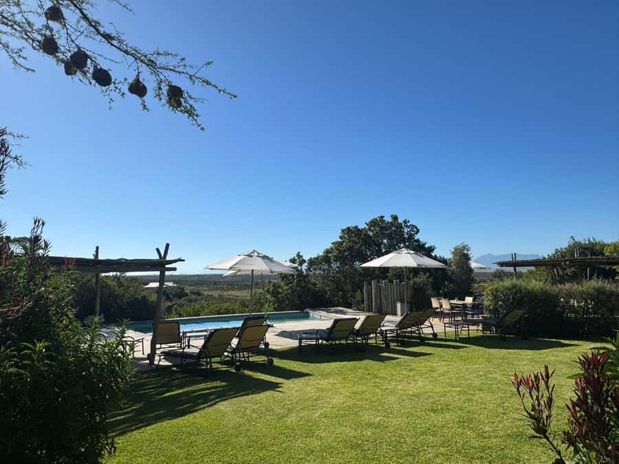 2-Day Cape Town Safari with Big 5, Penguins & Cape Agulhas - Hermanus adds a second coastal highlight