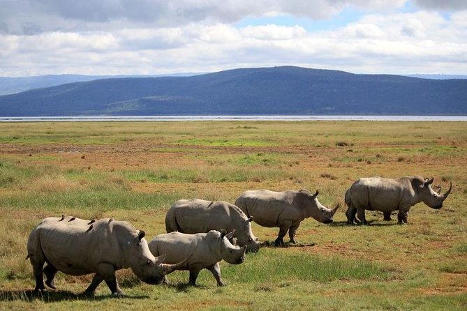 2 Days Flamingo Tour to Lake Bogoria & Lake Nakuru From Nairobi - Who should book this safari?