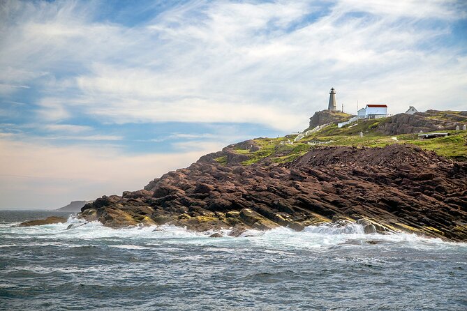 2 Hour Award-Winning Whale and Seabird Boat Tour from St. John's - The crew, the cabin, and the onboard mood