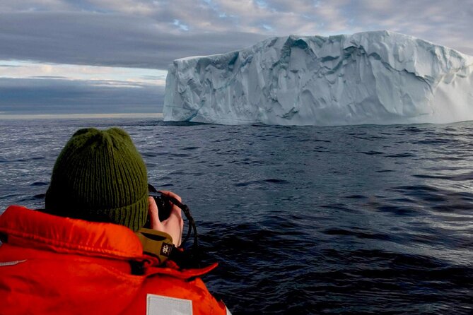 2 Hour Award-Winning Whale and Seabird Boat Tour from St. John's - Fort Amherst and the working entrance to the harbor
