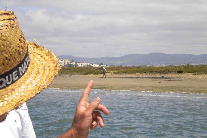 2-hour Bird Watching Guided Boat Trip in Ria Formosa from Faro Algarve - Why Ria Formosa is worth seeing from the water