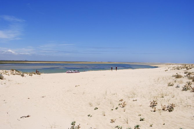 2-hour Bird Watching Guided Boat Trip in Ria Formosa from Faro Algarve - Barrinha Beach and the 20-minute pause