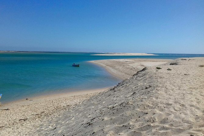2-hour Bird Watching Guided Boat Trip in Ria Formosa from Faro Algarve - What the $48.27 price gets you