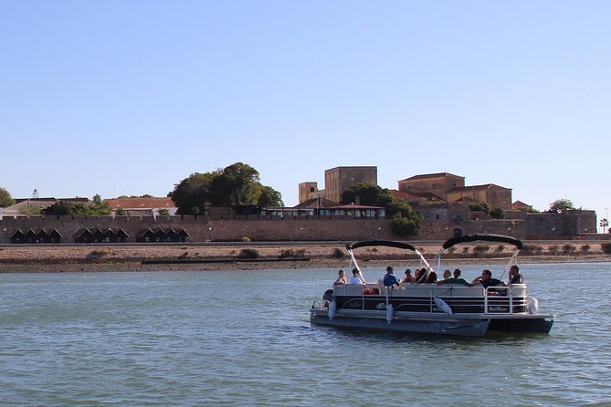 2-hour Bird Watching Guided Boat Trip in Ria Formosa from Faro Algarve - Bird watching through the lagoon channels