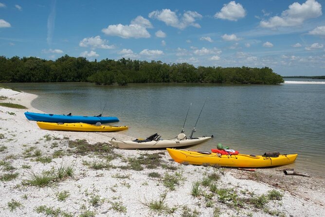 2 Hour Dolphin, Birding and Shelling Tour - Entering the refuge by boat
