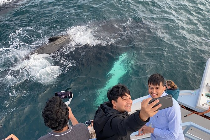 2 Hours Guided Whale and Bird Boat Tour in Bay Bulls - Is the CAD 35 shuttle worth it?
