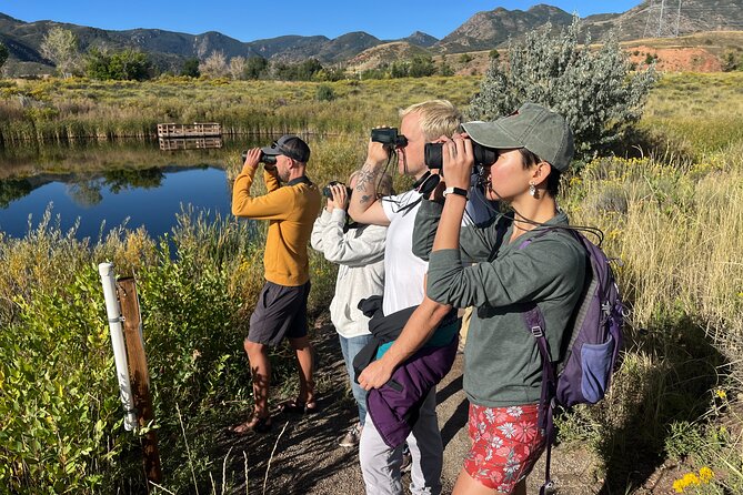 2 Hours of Mindful Bird Watching near Denver - A Gentle Start at 8:00 am