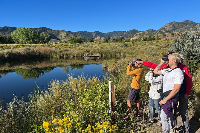 2 Hours of Mindful Bird Watching near Denver - Learning the Basics Without Feeling Lost