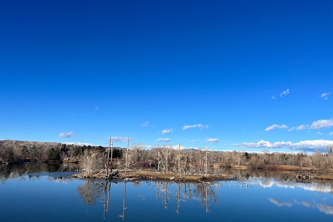 2 Hours of Mindful Bird Watching near Denver - Jane’s Style and the Small Group Advantage