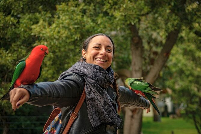 3 Day Combo: Great Ocean Road, Penguin Parade and FREE City Tour - Cape Woolamai, The Nobbies, and Cowes
