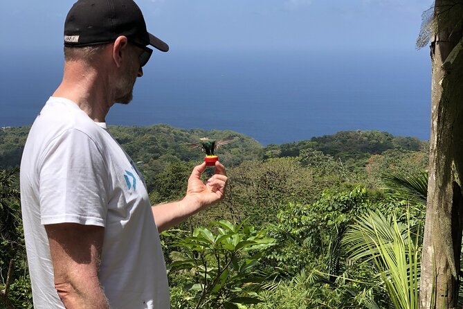 3 Hours Rainforest Walk in Tobago (Private) Lunch + Hummingbirds - What this Tobago rainforest outing actually includes