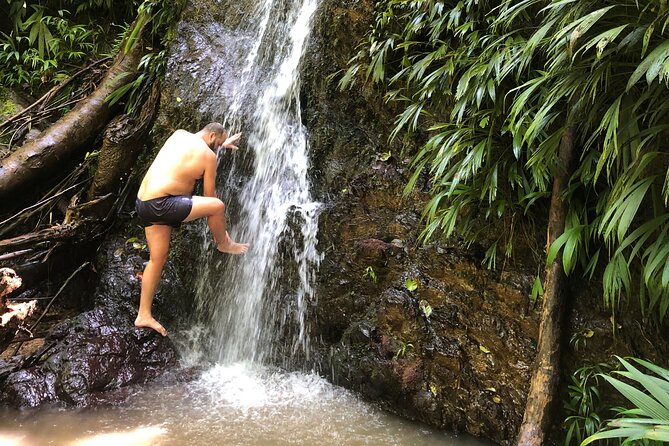 3 Hours Rainforest Walk in Tobago (Private) Lunch + Hummingbirds - Why the private guide makes a difference