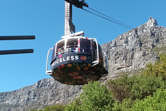 8-Hour Tour in Table Mountain Penguins and Cape of Good Hope - Why this full-day Cape Town route works