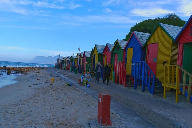 African Penguins (Boulders Beach) Half Day tour from Cape Town - Bo-Kaap in a quick 20-minute stop