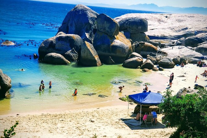 African Penguins (Boulders Beach) Half Day tour from Cape Town - Price, timing, and what you receive