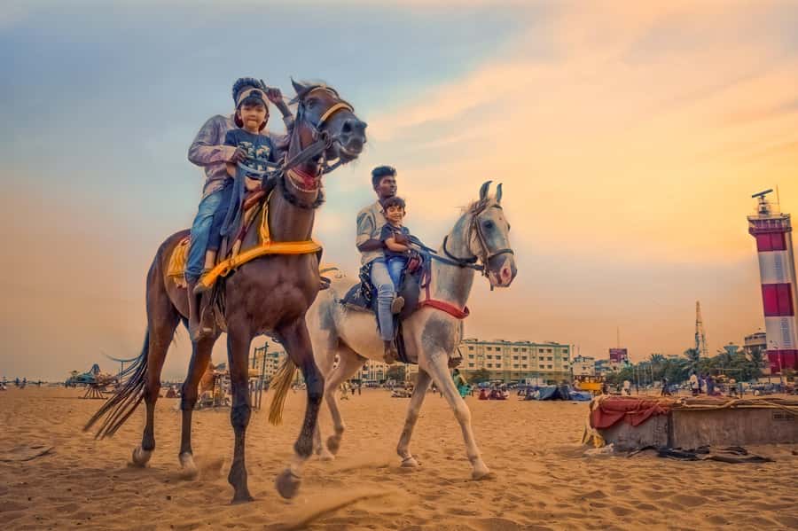 Agadir 2hours Horse Riding visite the flamingo river - Dunes, eucalyptus trees, and open country