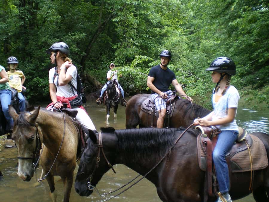 Agadir 2hours Horse Riding visite the flamingo river - Is $22 a fair price?