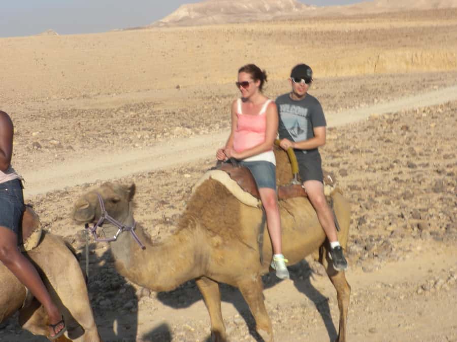 Agadir Camel Ride Flamingo River & BBQ Dinner - Key points before you book