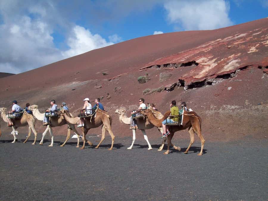 Agadir Camel Ride Flamingo River & BBQ Dinner - Should you book it?