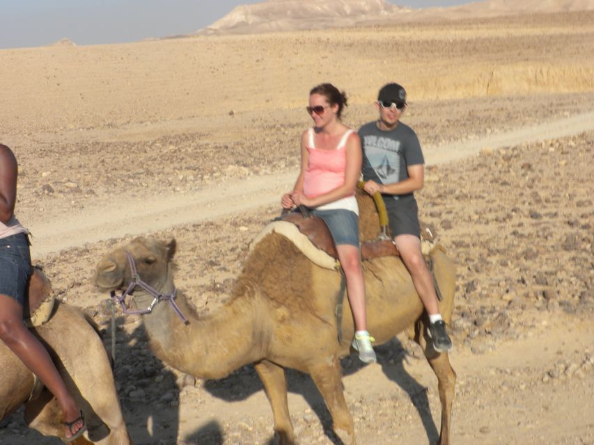 Agadir Camel Ride Flamingo River & BBQ Dinner - Is $21 good value?