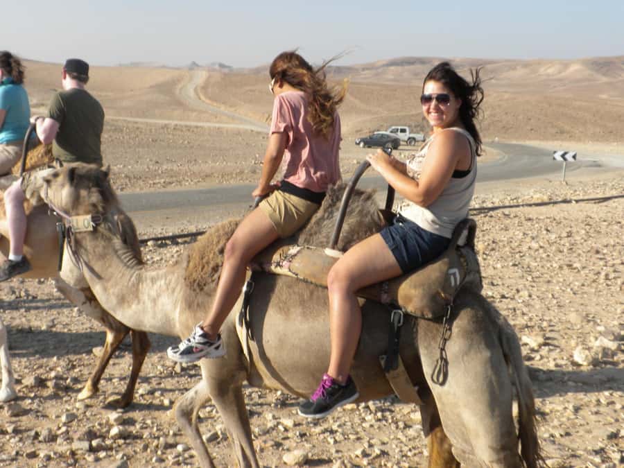 Agadir Camel Ride Flamingo River & BBQ Dinner - Riding through sand and eucalyptus trees