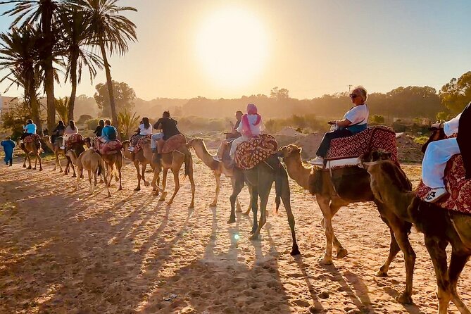 Agadir Camel Riding and flamingo river tour - Mint tea and snacks at Kasbat Souss