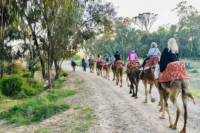 Agadir Camel Riding and flamingo river tour - Following the Souss River toward flamingo country