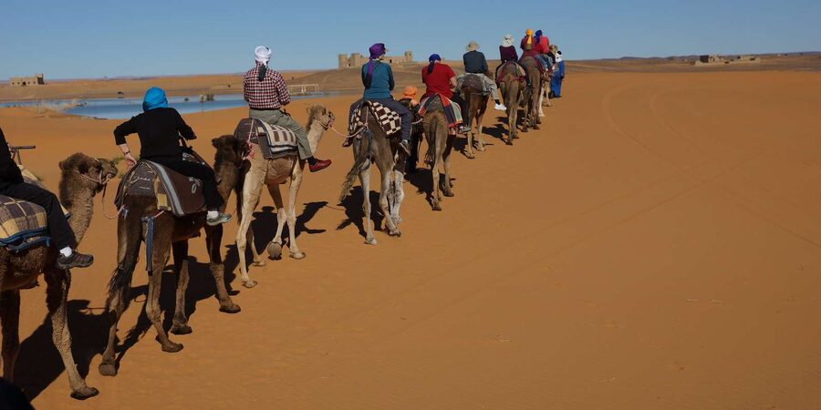 Agadir: Flamingo River Camel Ride - Key points to know before you go