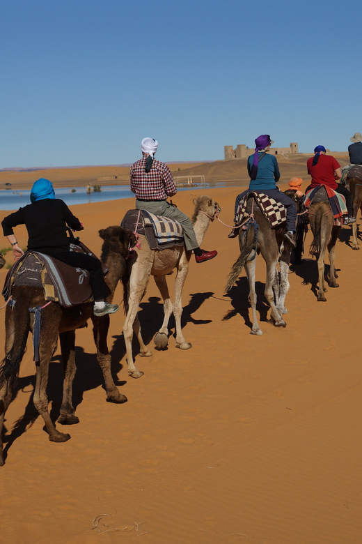 Agadir: Flamingo River Camel Ride - Who should book this camel ride?