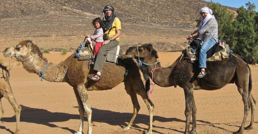 Agadir: Flamingo River Camel Ride - From Agadir accommodation to the camel ranch