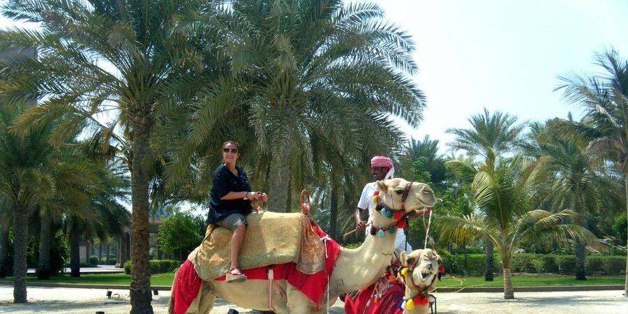 Agadir: Flamingo River Camel Ride - The eucalyptus forest and the changing scenery