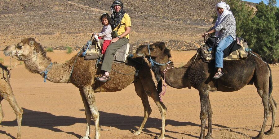 Agadir: Flamingo River Camel Ride - Reaching the Souss River and searching for flamingos