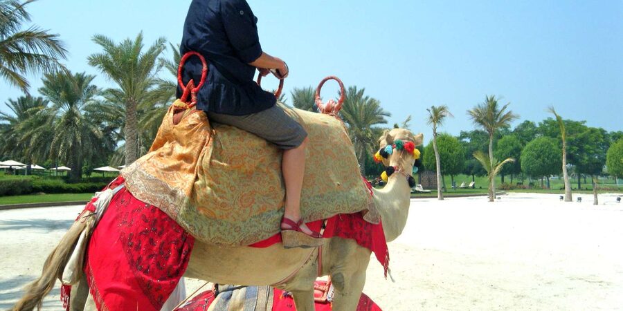 Agadir: Flamingo River Camel Ride - Mint tea at the ranch
