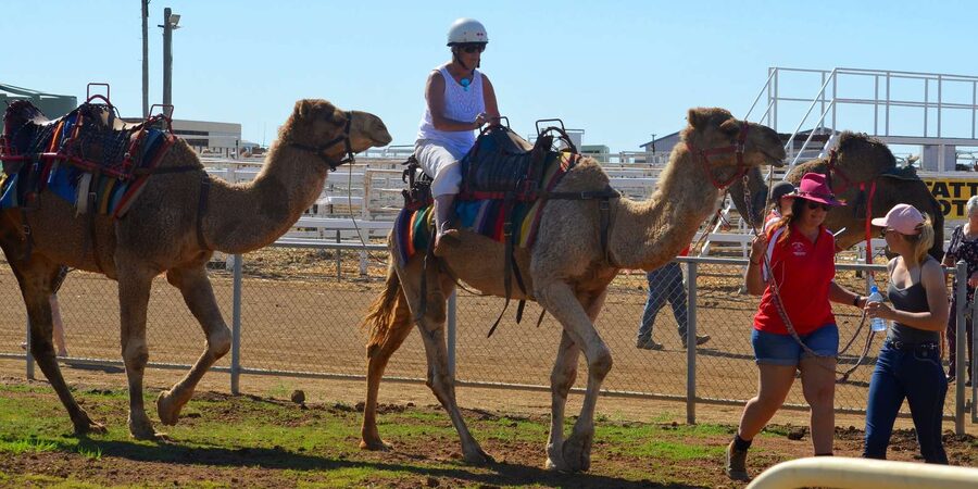 Agadir: Flamingo River Camel Ride - What the guide and service add