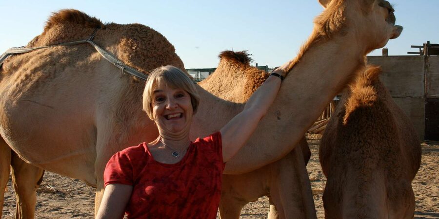 Agadir: Flamingo River Camel Ride - Is $23 a fair price?