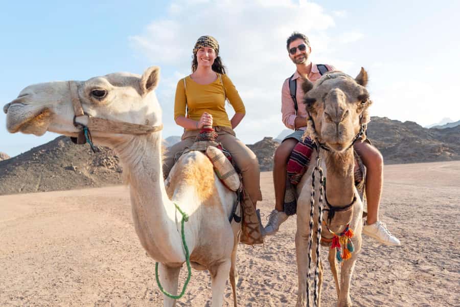 Agadir: Flamingo River Camel Ride with Optional BBQ Dinner - Key things to know before you book