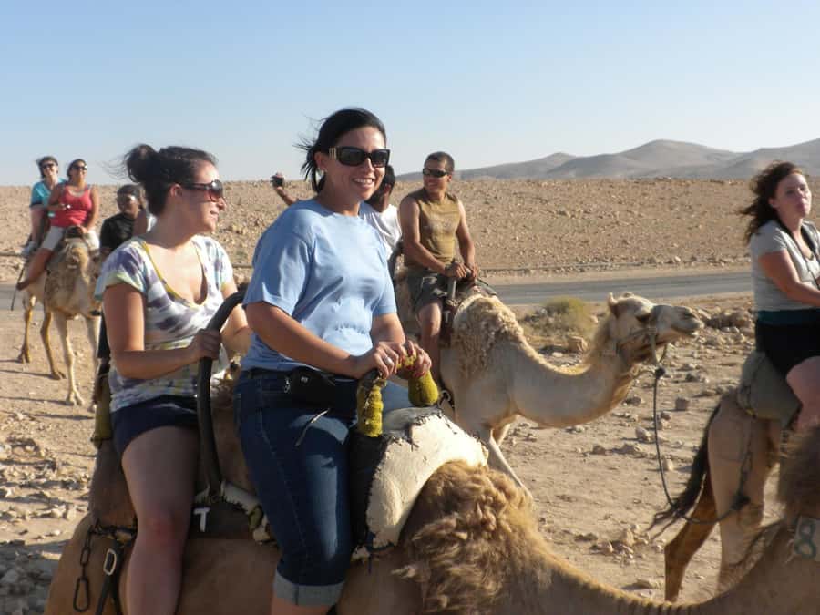 Agadir: Flamingo River Camel Ride with Optional BBQ Dinner - Is $20 a good value in Agadir?