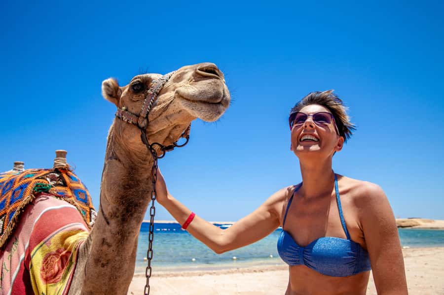 Agadir: Flamingo River Camel Ride with Optional BBQ Dinner - Who should book this camel ride?