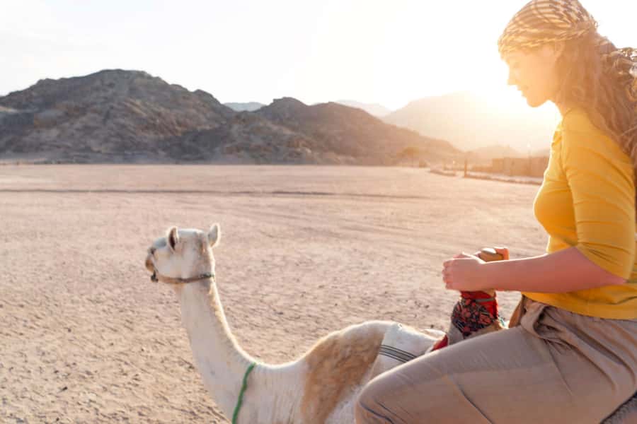 Agadir: Flamingo River Camel Ride with Optional BBQ Dinner - FAQ