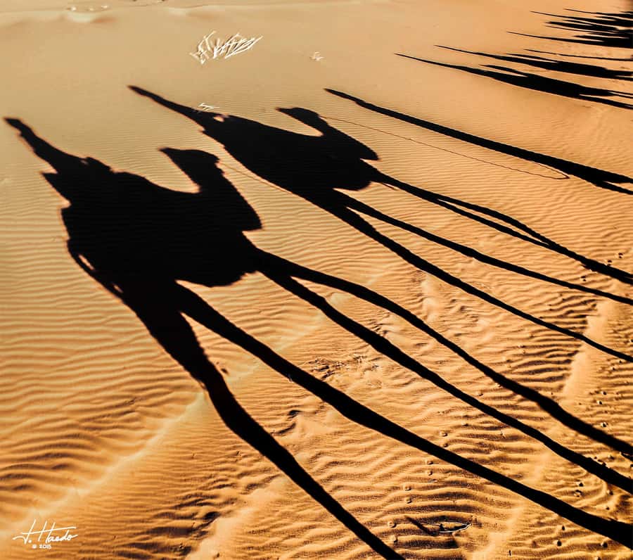 Agadir: Flamingo River Camel Ride with Optional BBQ Dinner - Riding through Aghroud Bensergao