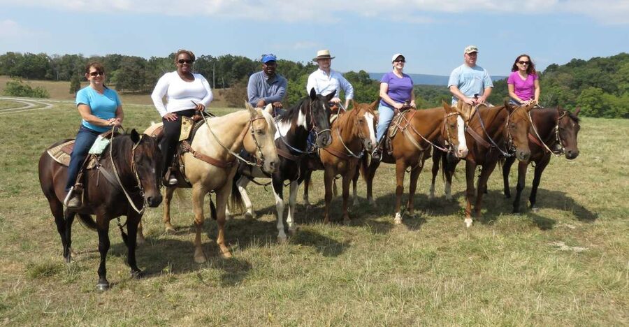Agadir: Guided Horse Riding Along Flamingo River with Tea - Key Things To Know Before You Ride