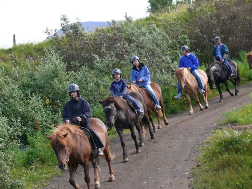 Agadir: Guided Horse Riding Along Flamingo River with Tea - Crossing the Rolling Desert Dunes