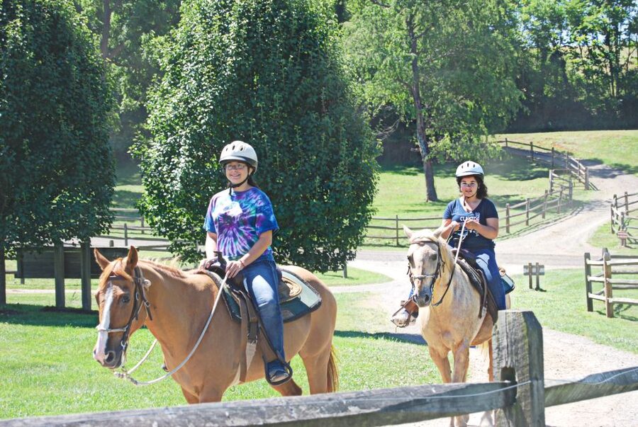 Agadir: Guided Horse Riding Along Flamingo River with Tea - Riding Beneath the Eucalyptus Trees